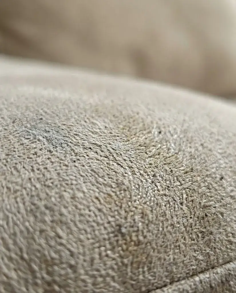 Antes limpeza de sofá Zona Norte SP